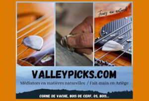 valleypicks banniere 300x205